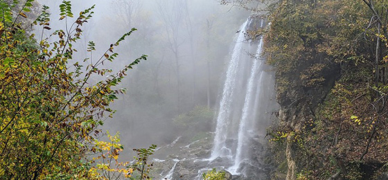 Imágenes del control deslizante