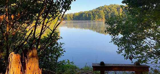 Imágenes del control deslizante