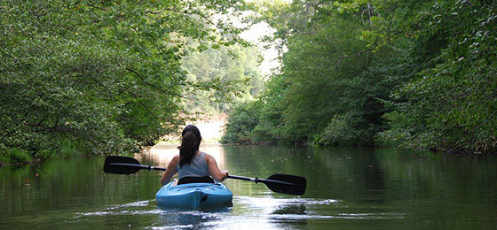 Imágenes del control deslizante