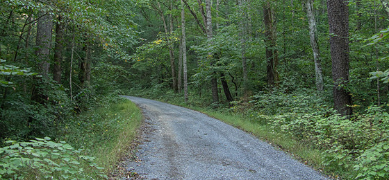 Imágenes del control deslizante