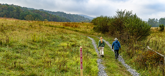 Imágenes del control deslizante