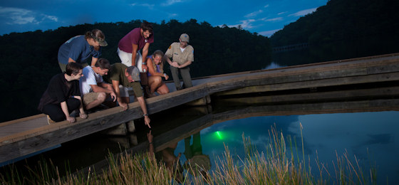 Imágenes del control deslizante