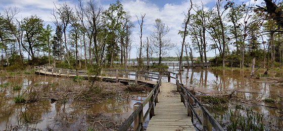 Imágenes del control deslizante
