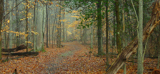 Imágenes del control deslizante