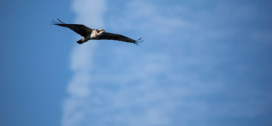 Imágenes del control deslizante