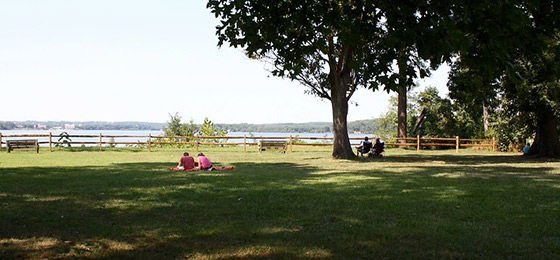 Imágenes del control deslizante