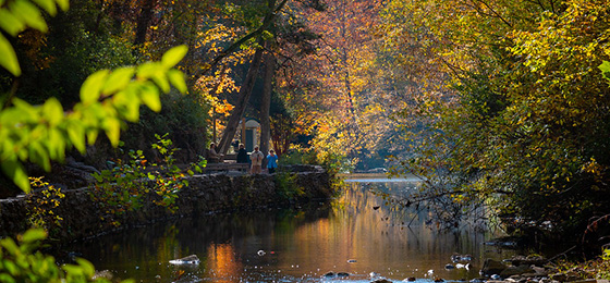 Imágenes del control deslizante