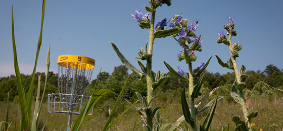 Imágenes del control deslizante