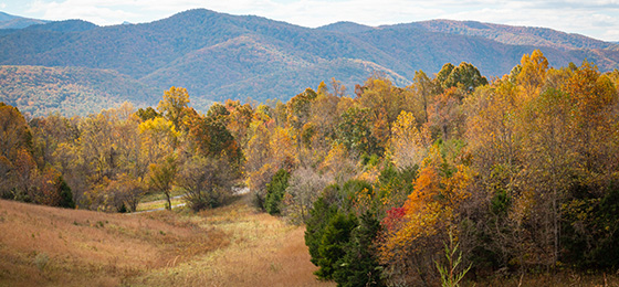 Imágenes del control deslizante