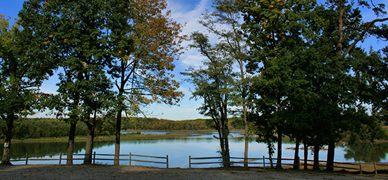 Imágenes del control deslizante