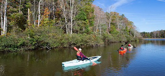 Imágenes del control deslizante