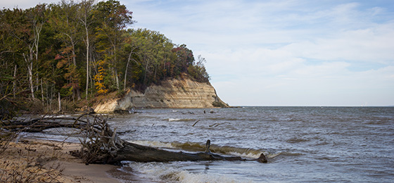 Imágenes del control deslizante