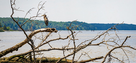 Imágenes del control deslizante