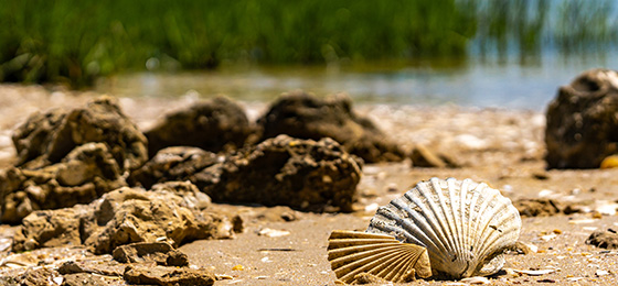 Imágenes del control deslizante