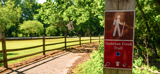 Imágenes del control deslizante