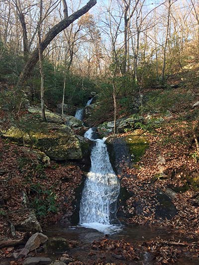 Sendero Blue Suck Falls en el Parque Estatal Douthat Sendero Blue Suck Falls en el Parque Estatal Douthat