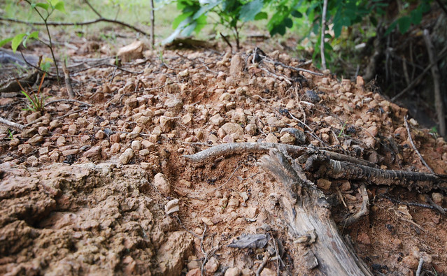 piedras de hadas en la tierra