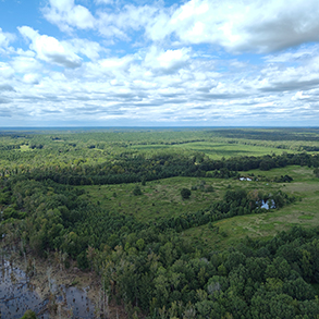 Área de Conservación Estatal de las Malvinas