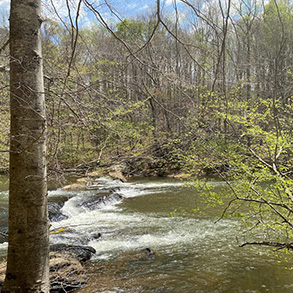 futuro Parque Estatal del Río Mayo