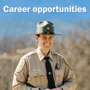 Career Opportuntites
