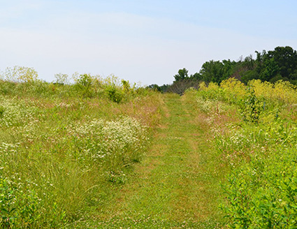 sendero en el Parque Estatal Powhatan