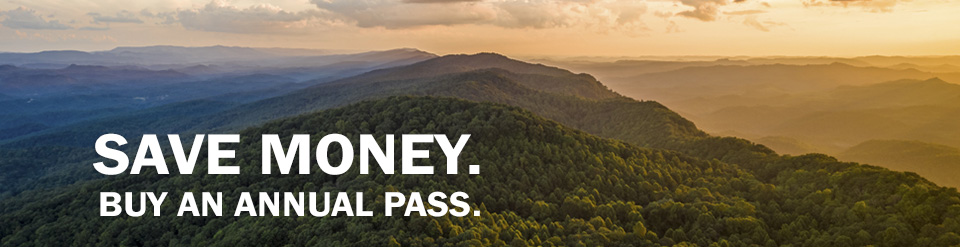 Comprar un abono anual