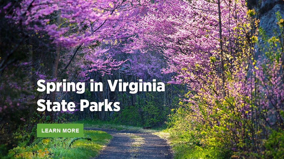 Primavera en los parques estatales de Virginia Primavera en los parques estatales de Virginia